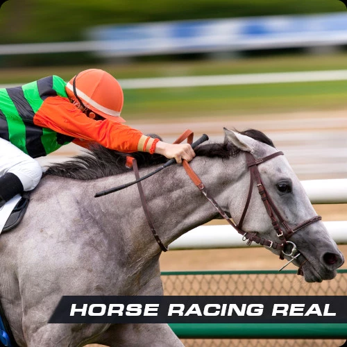 Horse racing real